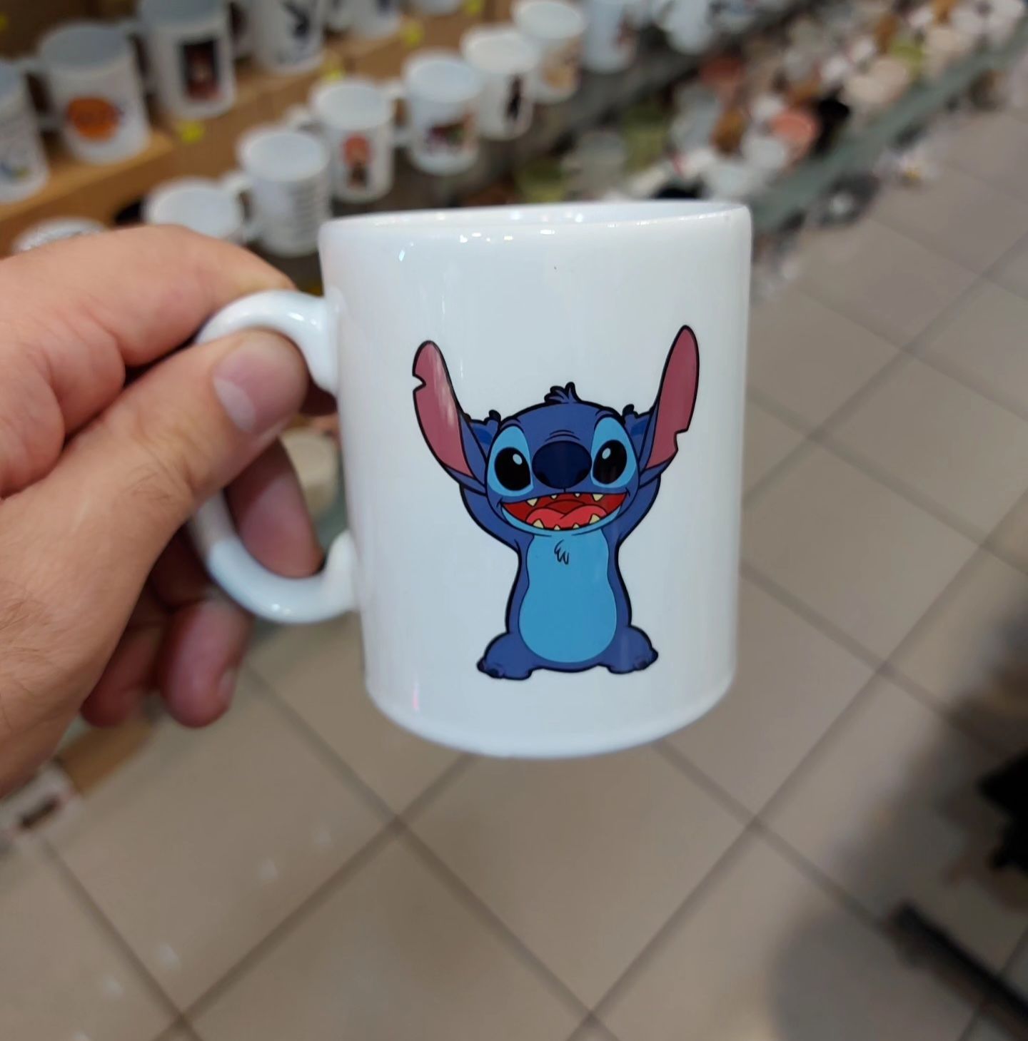 Stich Bardak