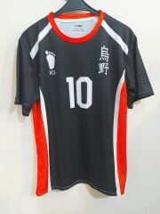 Haikyu Forma 10