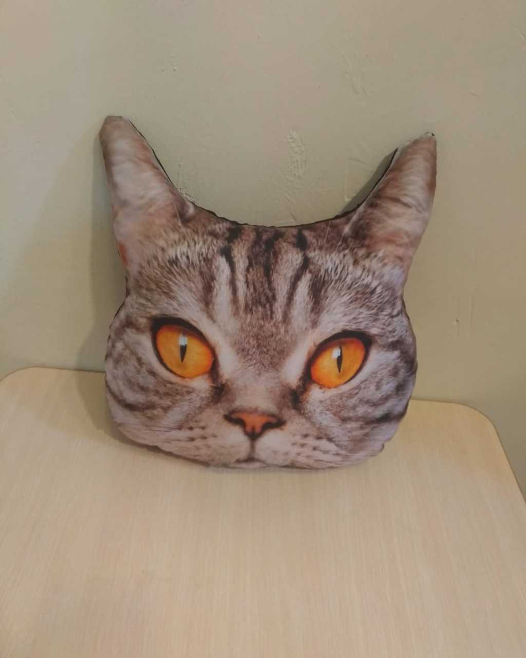 Kedi Yastık