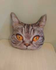 Kedi Yastık