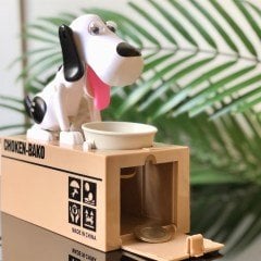 Para Yiyen Köpek Kumbara