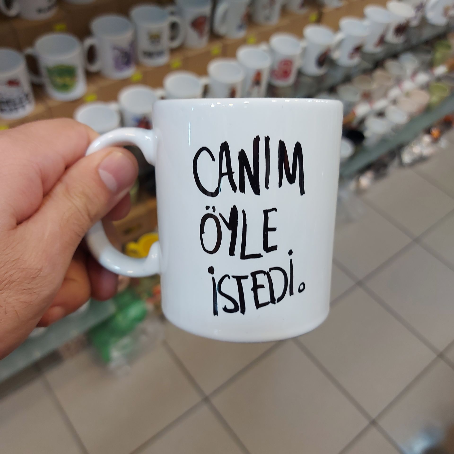 Canım Öyle İstedi Model Baskılı Kupa